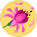 Ellda profile picture